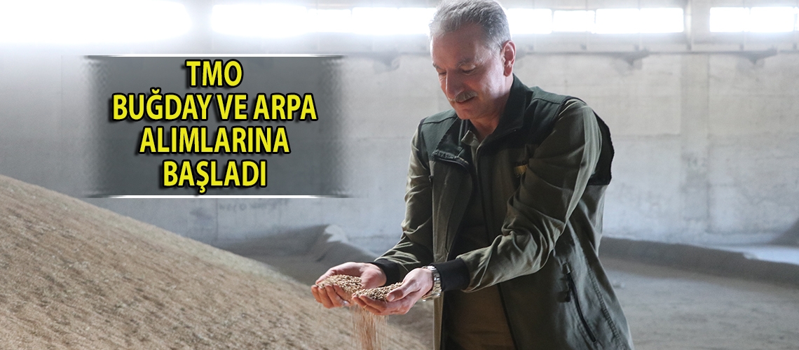 TMO buğday ve arpa alımlarına başladı