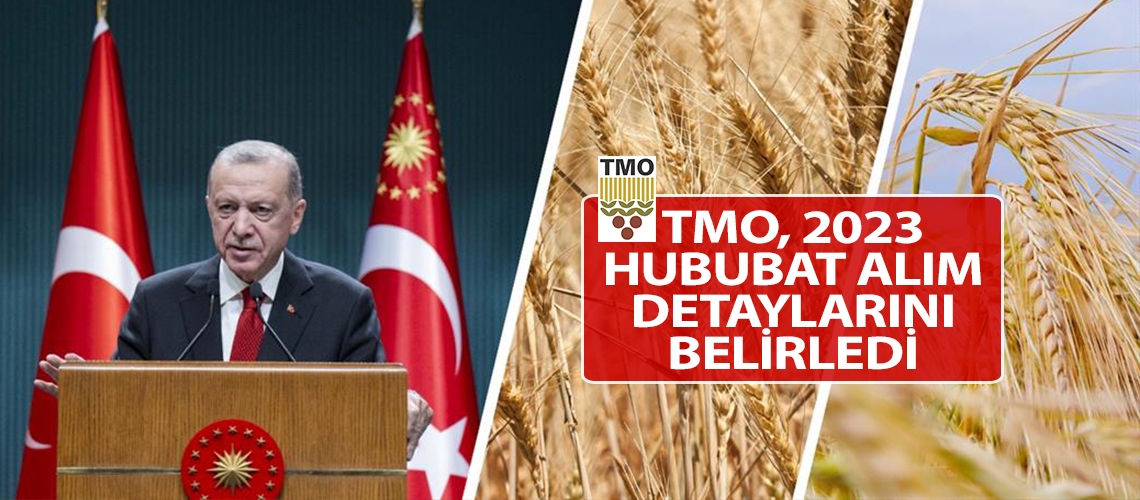 TMO, 2023 hububat alım detaylarını belirledi