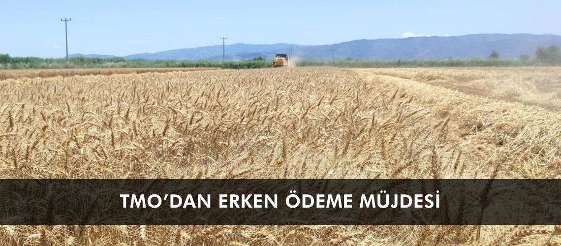 TMO’dan erken ödeme müjdesi