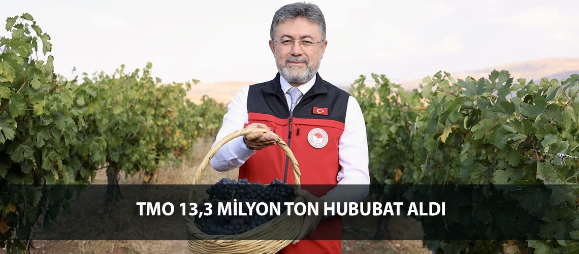 TMO 13,3 milyon ton hububat aldı