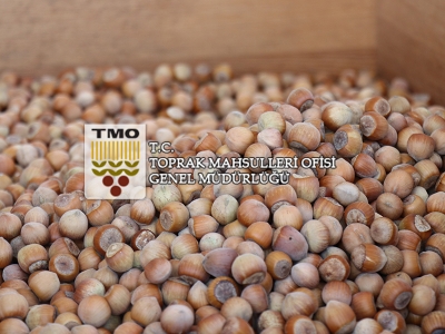 TMO fındık alımlarına 22 Ağustos'ta başlayacak