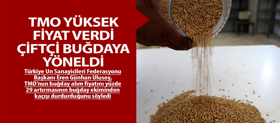 TMO yüksek fiyat verdi çiftçi buğdaya yöneldi