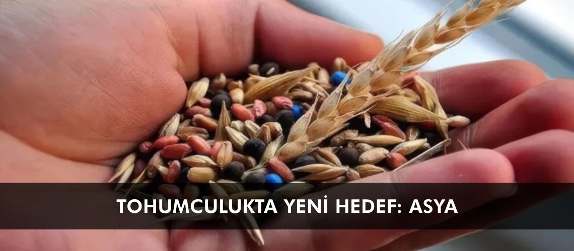 Tohumculukta yeni hedef: Asya