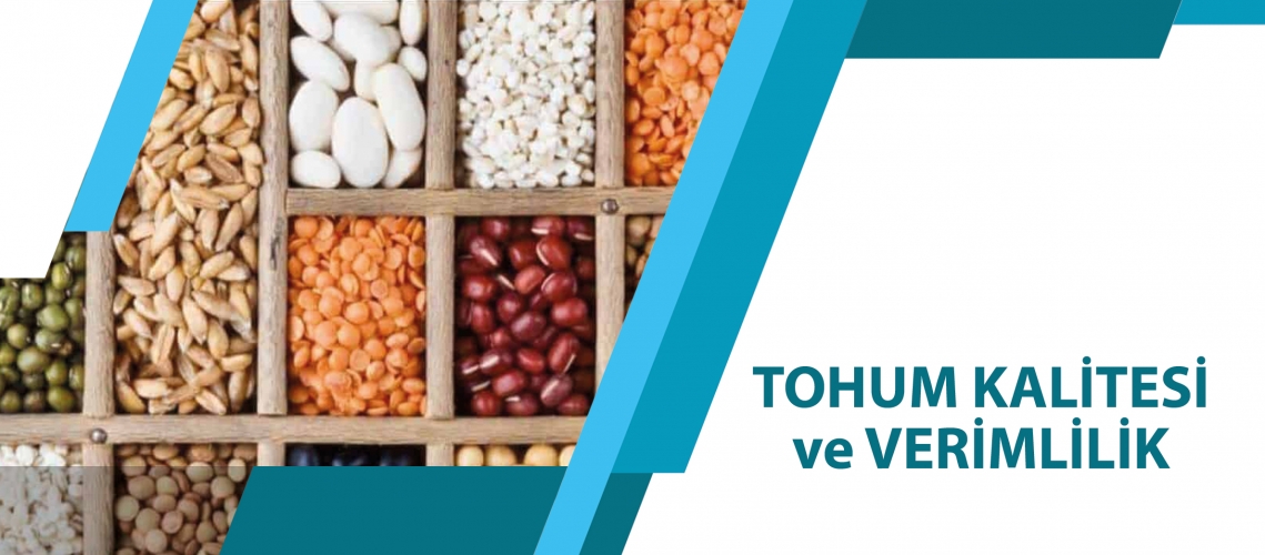TOHUM KALİTESİ ve VERİMLİLİK