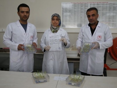 Adıyaman, tohum sertifikasyonunda 9 şehre hizmet veriyor