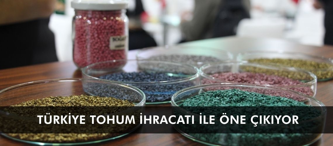 Türkiye tohum ihracatı ile öne çıkıyor