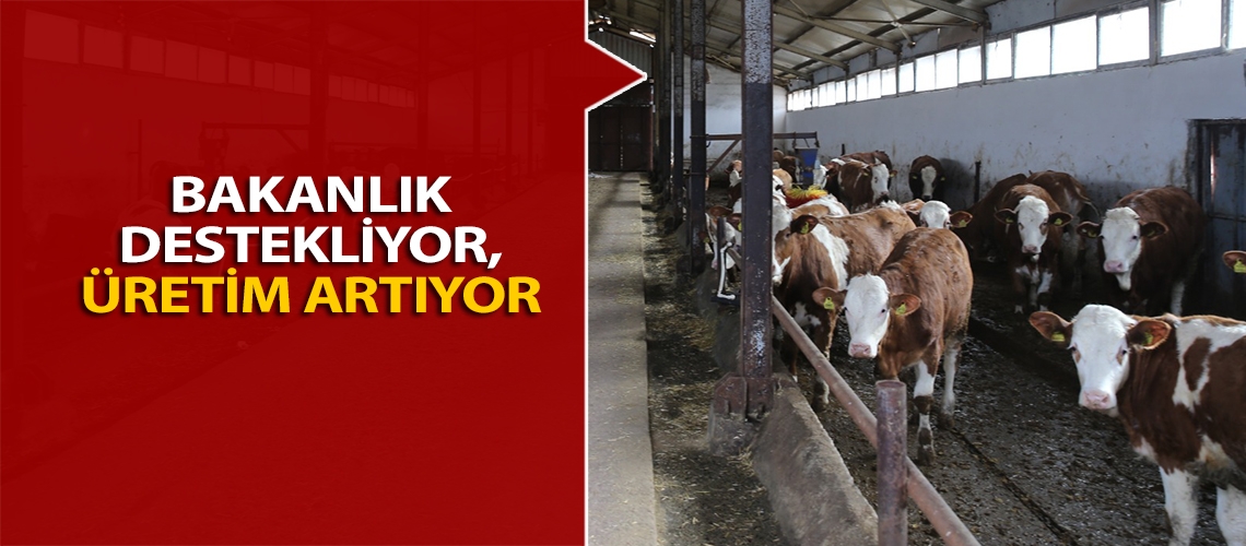 Bakanlık destekliyor, üretim artıyor