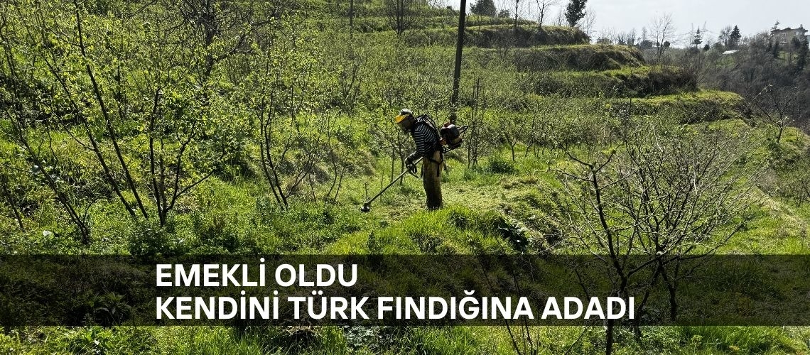 Emekli oldu kendini Türk fındığına adadı