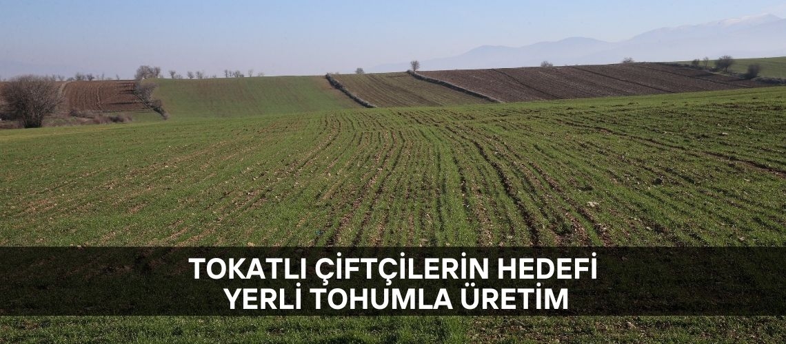 Tokatlı çiftçilerin hedefi yerli tohumla üretim