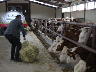 Bakanlık destekliyor, üretim artıyor