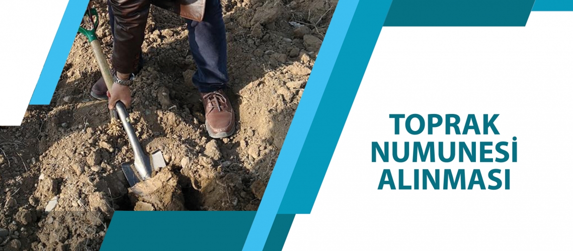 TOPRAK NUMUNESİ ALINMASI