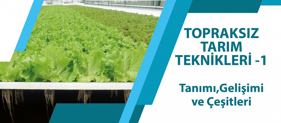 TOPRAKSIZ TARIM TEKNİKLERİ - 1 (Tanımı, Gelişimi ve Çeşitleri)