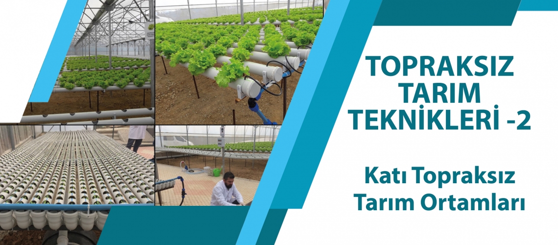 TOPRAKSIZ TARIM TEKNİKLERİ - 2 ( Katı Topraksız Tarım Ortamları )