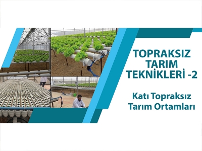 TOPRAKSIZ TARIM TEKNİKLERİ - 2 ( Katı Topraksız Tarım Ortamları )