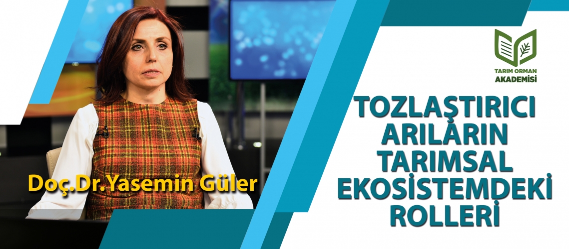 TOZLAŞTIRICI ARILARIN TARIMSAL EKOSİSTEMDEKİ ROLLERİ
