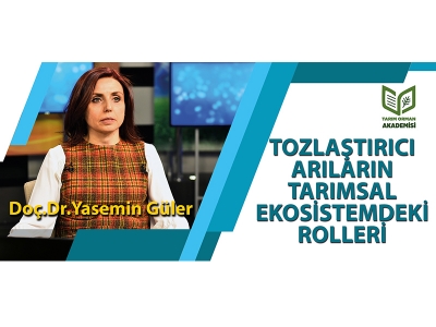 TOZLAŞTIRICI ARILARIN TARIMSAL EKOSİSTEMDEKİ ROLLERİ