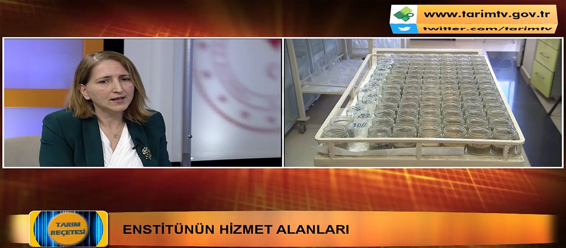 Tarım Reçetesi 2. Bölüm