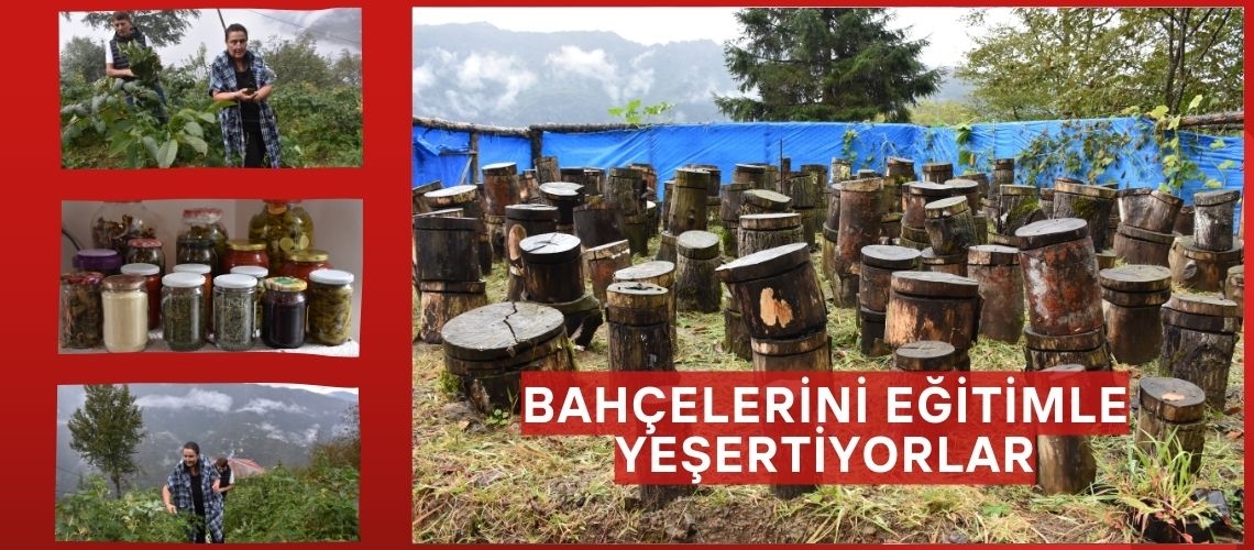 Bahçelerini eğitimle yeşertiyorlar