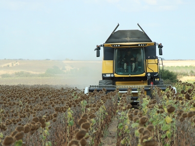 Trakya'da ayçiçeği hasadında sona gelindi