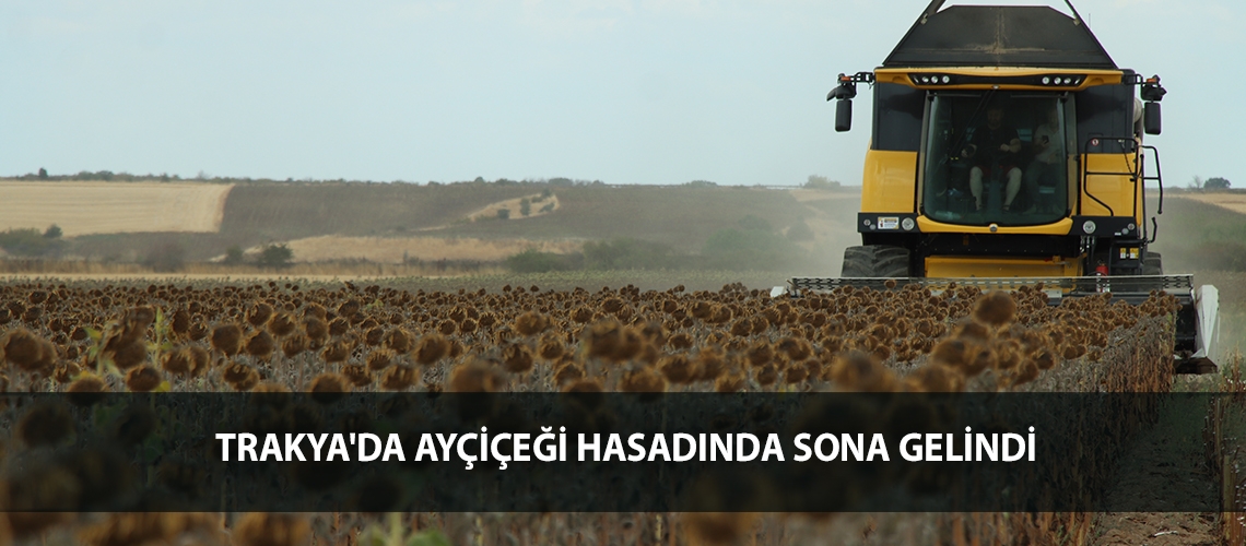 Trakya'da ayçiçeği hasadında sona gelindi
