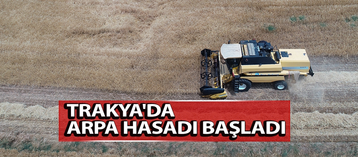 Trakya'da arpa hasadı başladı