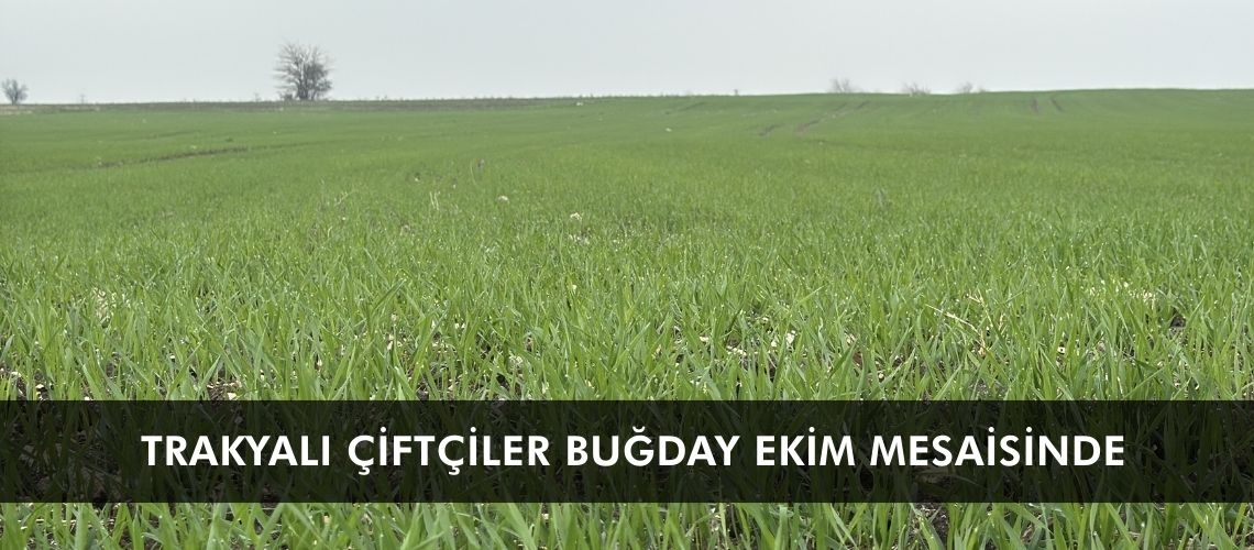 Trakyalı çiftçiler buğday ekim mesaisinde