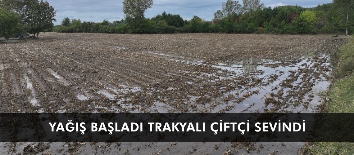 Yağış başladı Trakyalı çiftçi sevindi