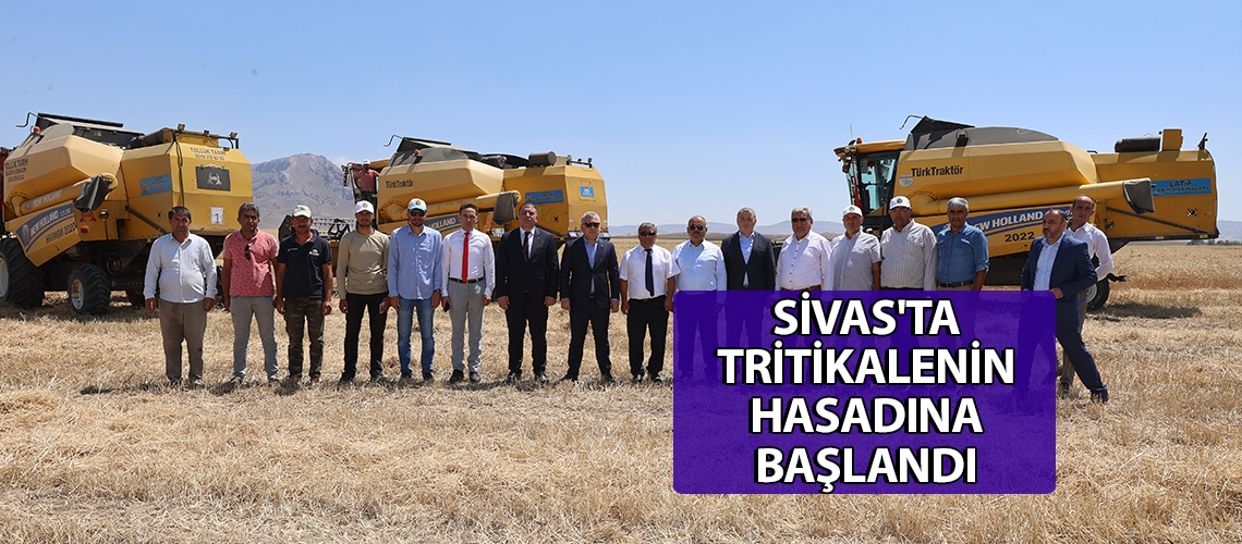 Sivas'ta tritikalenin hasadına başlandı
