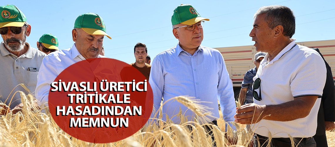 Sivaslı üretici tritikale hasadından memnun