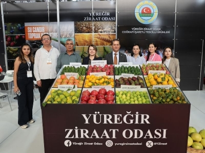 Çukurova topraklarında tropik meyve bereketi