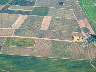 TÜİK genel tarım sayımına başladı