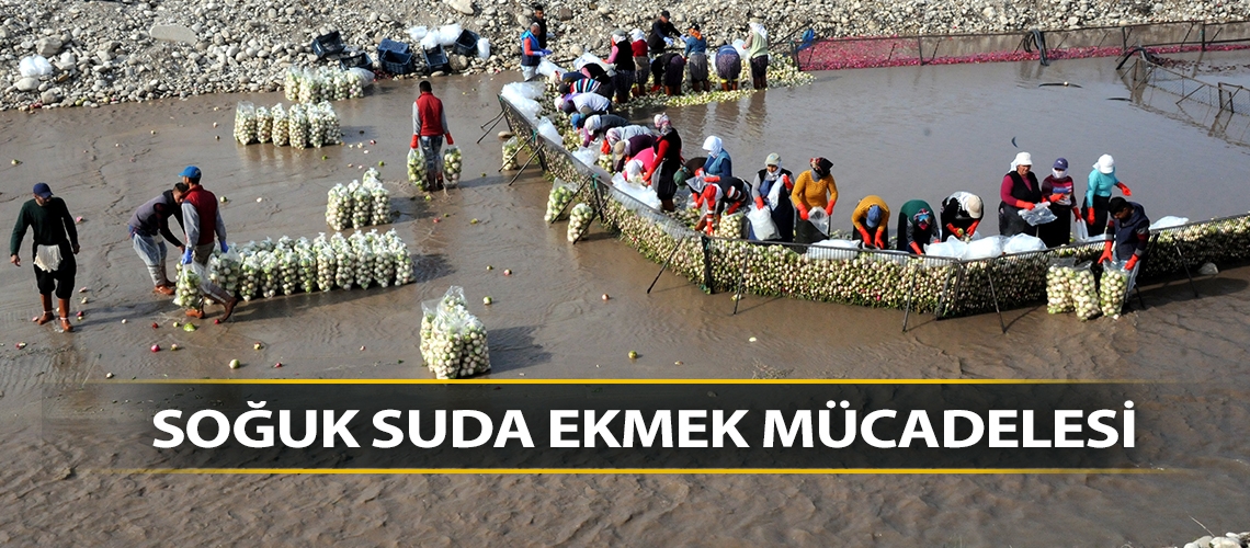 Soğuk suda ekmek mücadelesi
