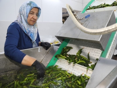 Turşu üreticileri denetlendi