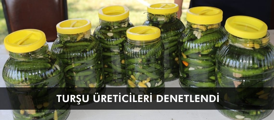 Turşu üreticileri denetlendi