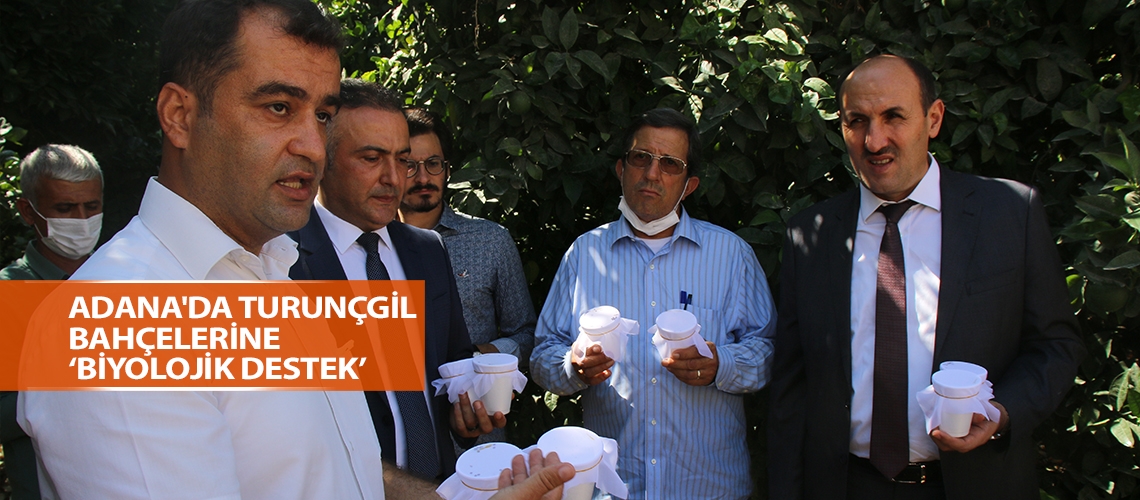 Adana'da turunçgil bahçelerine ‘biyolojik destek’