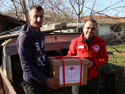 Üçüz buzağılar aile işletmesinin neşesi oldu