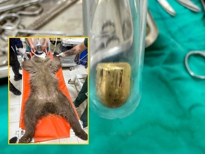 Umut’a ateş eden mermi çekirdeği belirlenecek