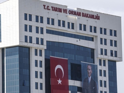 Destekle yaban mersini bahçesi kurdu