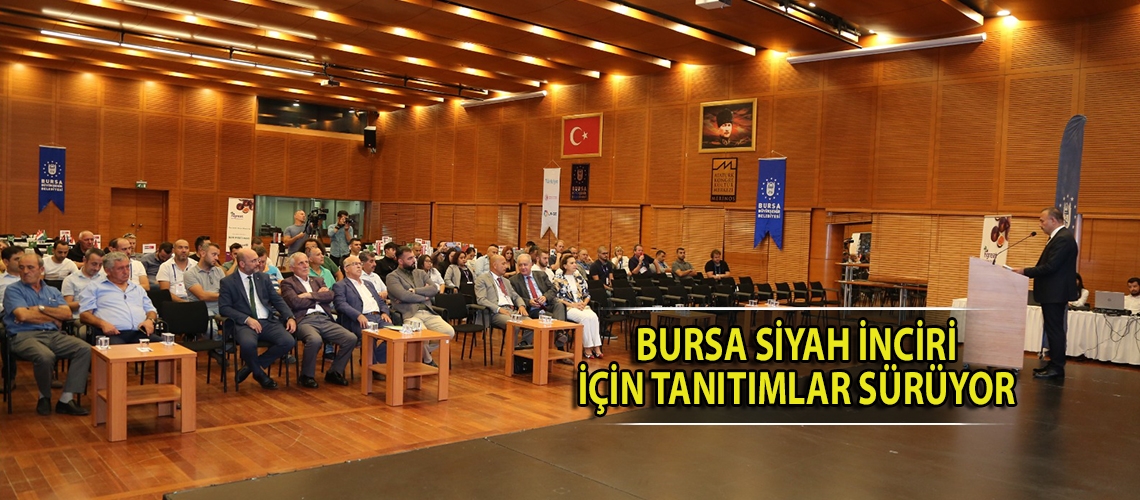 Bursa siyah inciri için tanıtımlar sürüyor