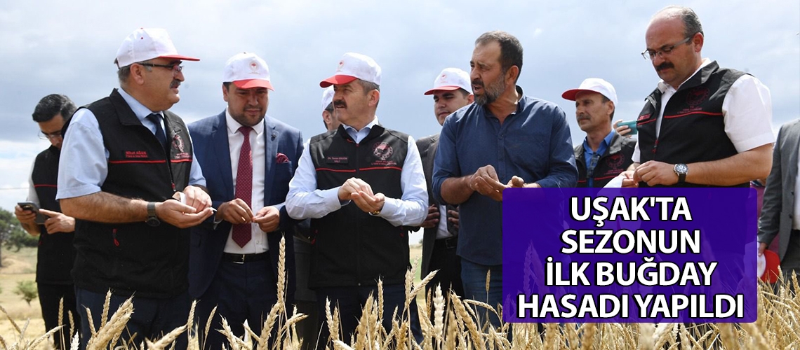 Uşak'ta sezonun ilk buğday hasadı yapıldı