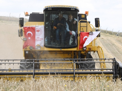 Uşak'ta sezonun ilk buğday hasadı yapıldı