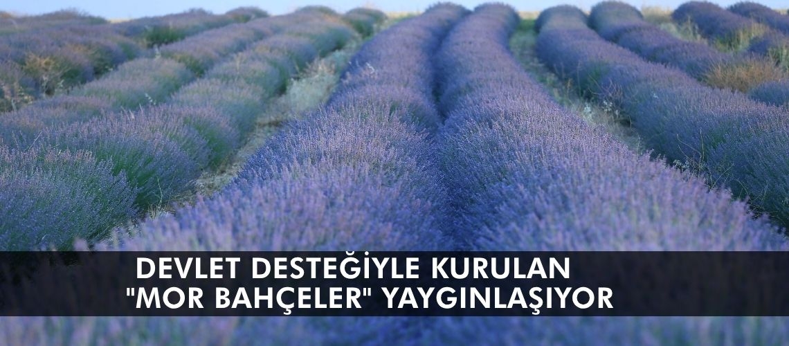 Devlet desteğiyle kurulan 