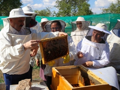 Destekten faydalandılar, ilk hasatlarını yaptılar