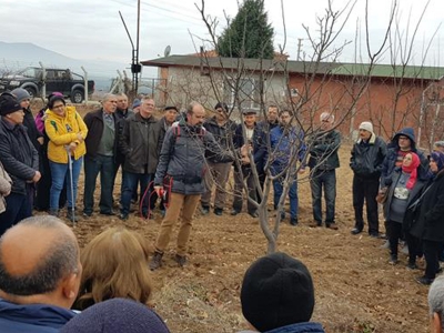 Uşaklı üreticilere budama eğitimi