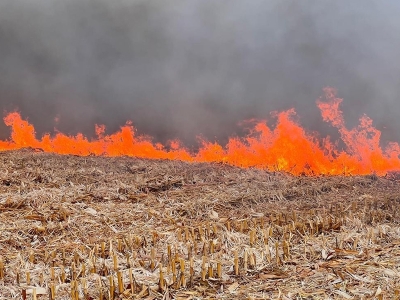 Çiftçilere verimli ve kaliteli ürün uyarısı
