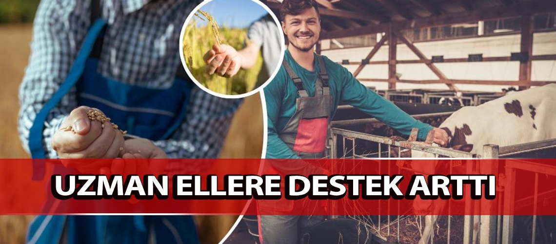 Uzman ellere destek arttı