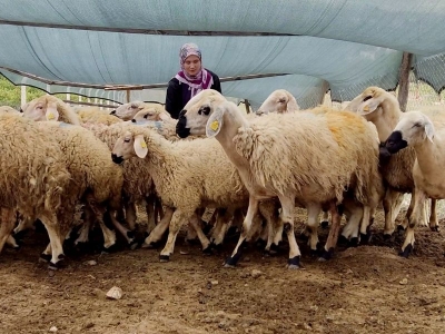 Uzman Eller Projesi ile genç yaşta kendi işini kurdu