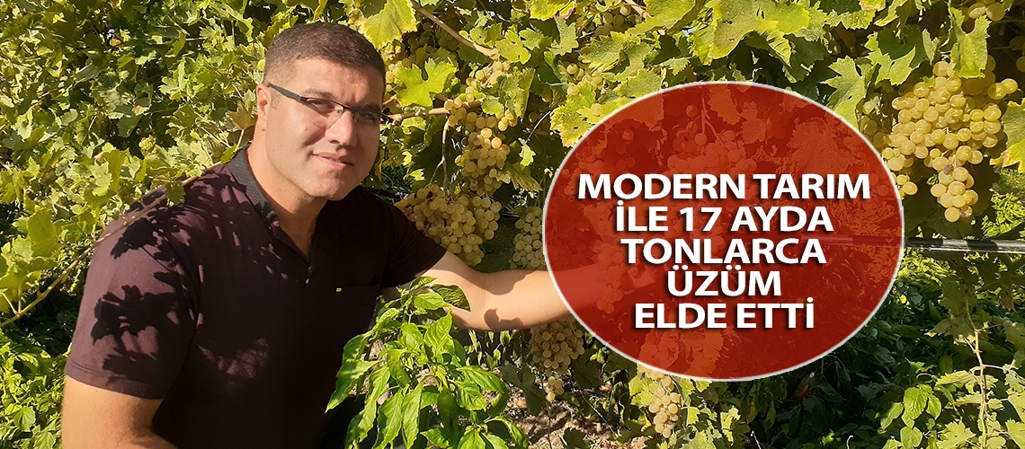 Modern tarım ile 17 ayda tonlarca üzüm elde etti