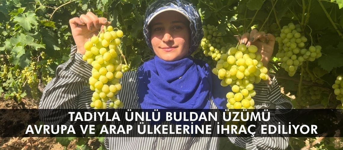 Tadıyla ünlü Buldan üzümü Avrupa ve Arap ülkelerine ihraç ediliyor