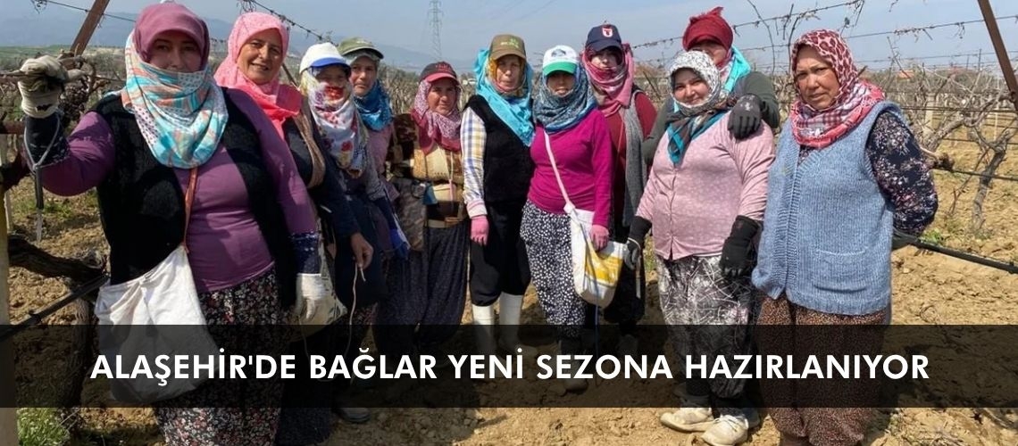 Alaşehir'de bağlar yeni sezona hazırlanıyor